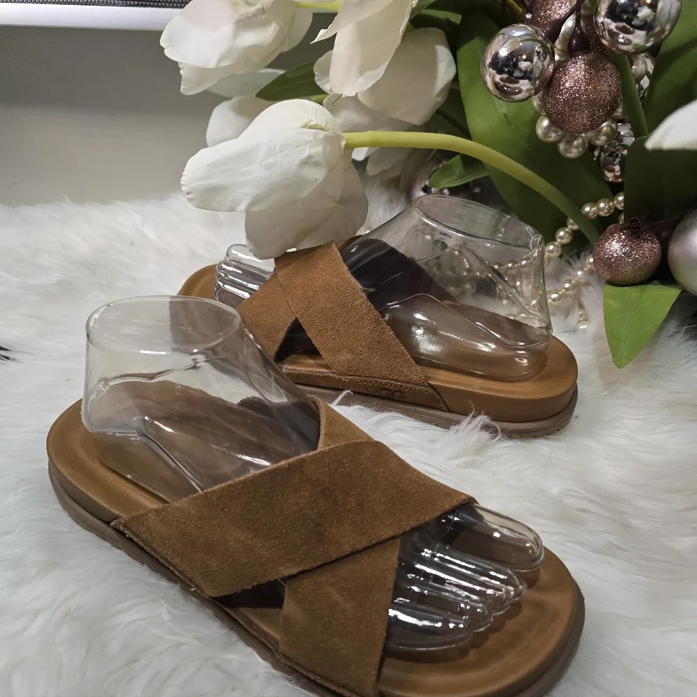UGG Wainscott Slide Sandals - Chestnut Suede mens shoes New